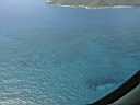 12-nevis-reefs_a_plenty.jpg